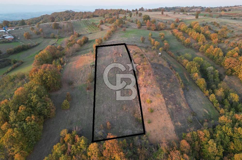 BURSA İNEGÖL TEKKEKÖY 5,143 M2 YATIRIMLIK TARLA