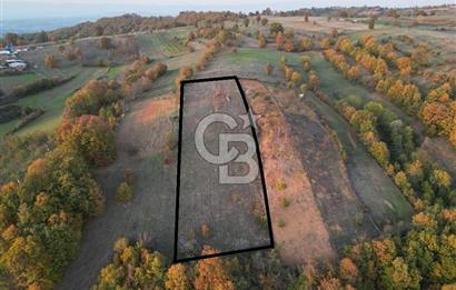 BURSA İNEGÖL TEKKEKÖY 5,143 M2 YATIRIMLIK TARLA