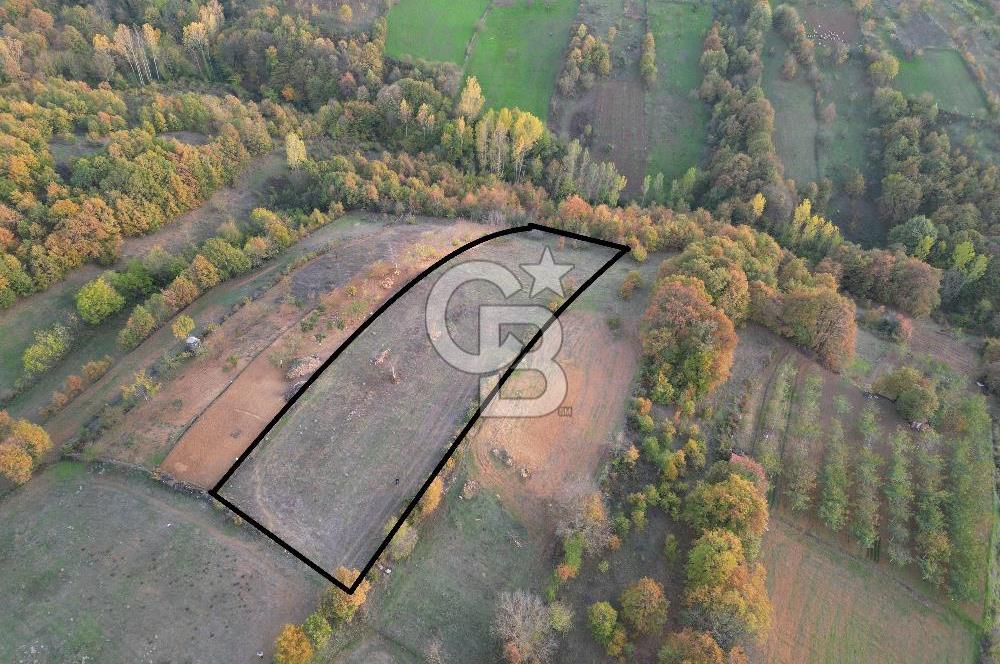 BURSA İNEGÖL TEKKEKÖY 5,143 M2 YATIRIMLIK TARLA