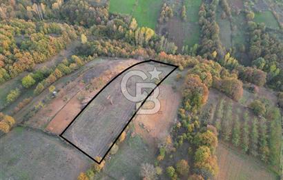 BURSA İNEGÖL TEKKEKÖY 5,143 M2 YATIRIMLIK TARLA