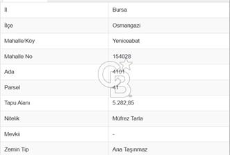BURSA OSMANGAZİ YENİCEABAT DA SATILIK YATIRIMLIK TARLA - 4 - 313776