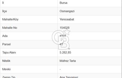 BURSA OSMANGAZİ YENİCEABAT DA SATILIK YATIRIMLIK TARLA