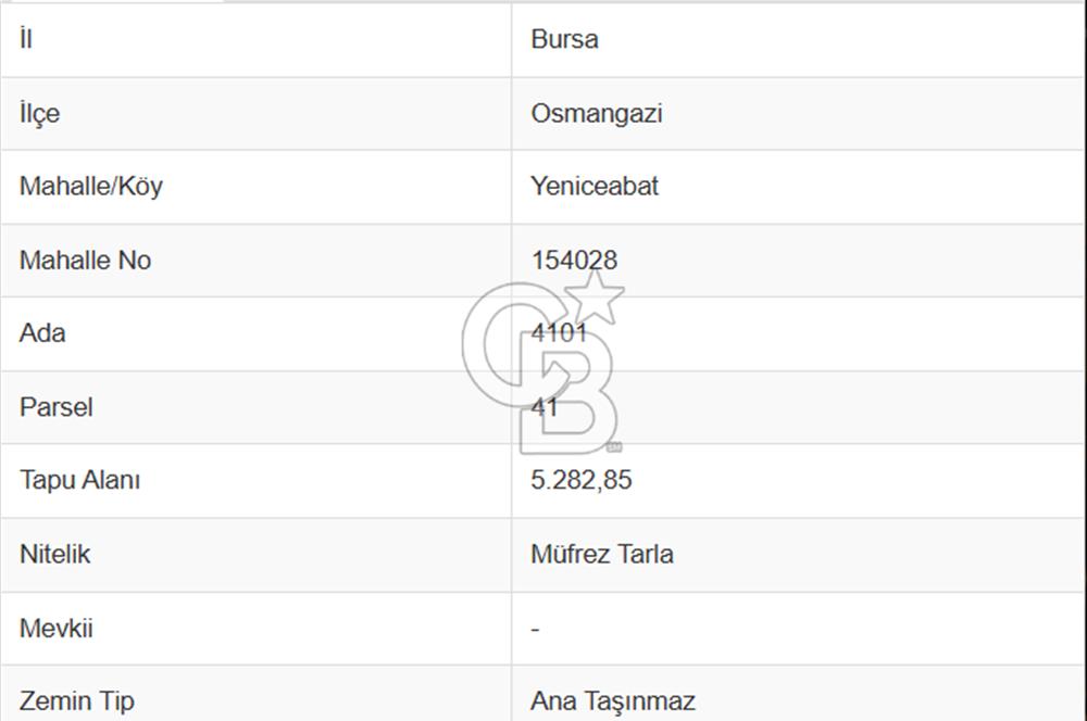 BURSA OSMANGAZİ YENİCEABAT DA SATILIK YATIRIMLIK TARLA