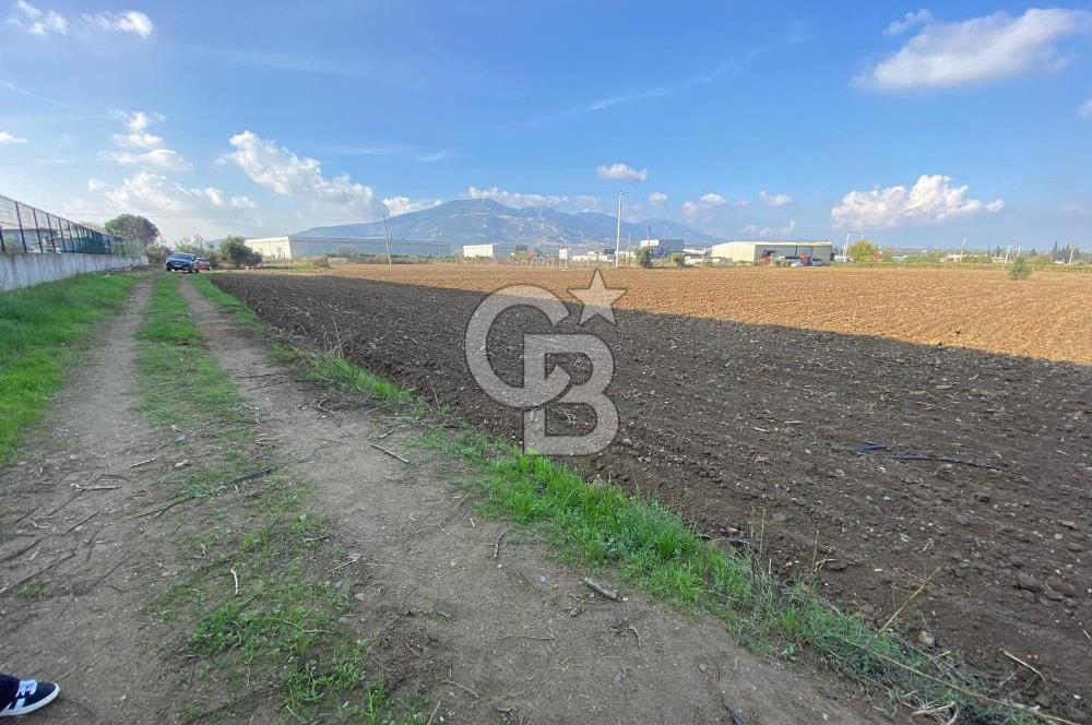 KEMALPAŞA ÖREN YOLA CEPHELİ SATILIK TARLA