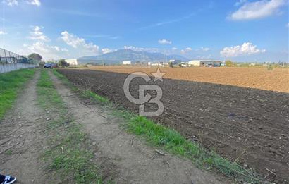 KEMALPAŞA ÖREN YOLA CEPHELİ SATILIK TARLA