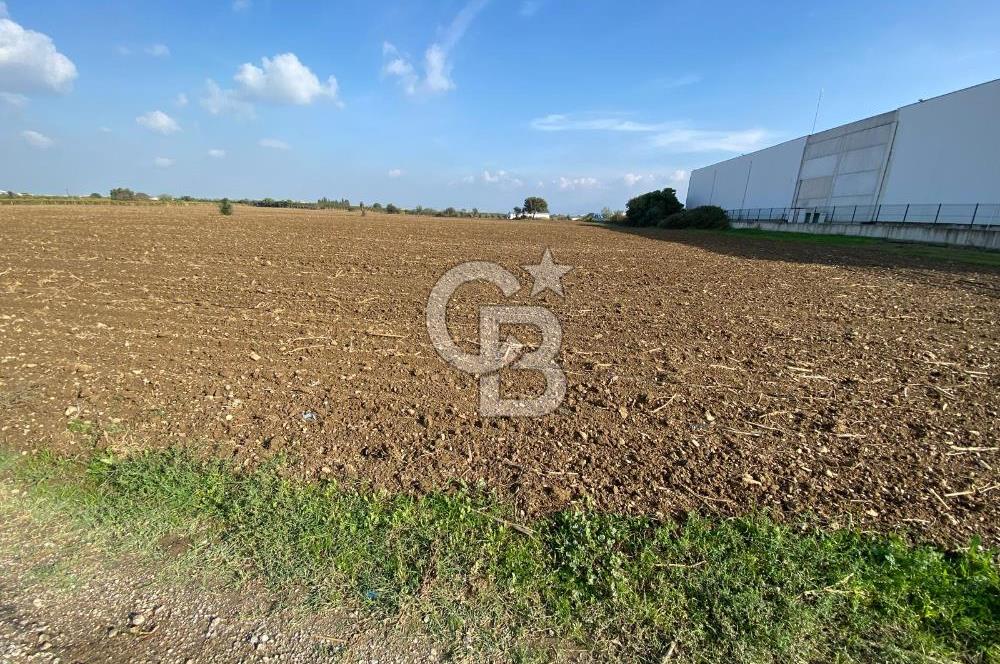 KEMALPAŞA ÖREN YOLA CEPHELİ SATILIK TARLA