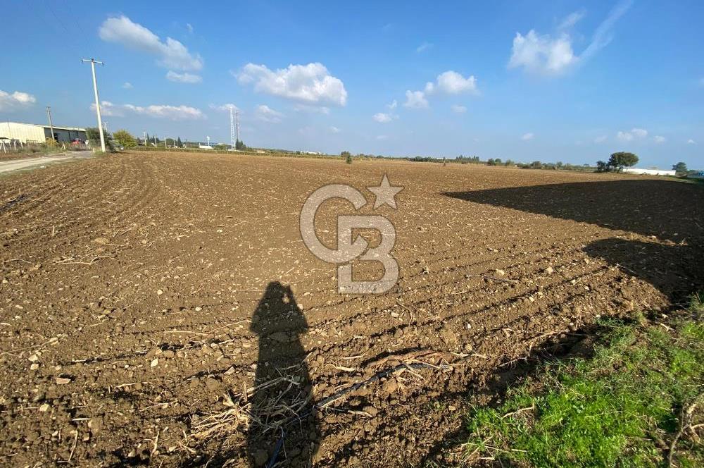 KEMALPAŞA ÖREN YOLA CEPHELİ SATILIK TARLA