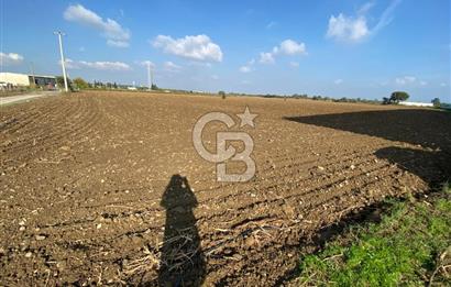 KEMALPAŞA ÖREN YOLA CEPHELİ SATILIK TARLA