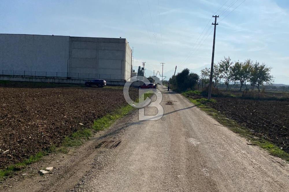 KEMALPAŞA ÖREN YOLA CEPHELİ SATILIK TARLA