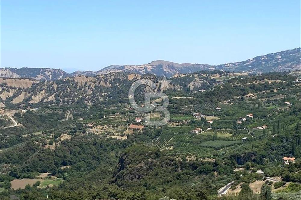 Manisa Salihli Lidya Villaları Yakını 8.100 m² Yatırımlık Tarla