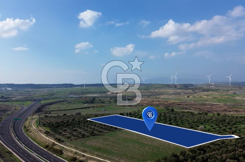 ALİAĞA GÜZELHİSAR ZEYTİNLİ YATIRIMLIK TARLA FIRSATI 12.266 m²