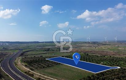 ALİAĞA GÜZELHİSAR ZEYTİNLİ YATIRIMLIK TARLA FIRSATI 12.266 m²