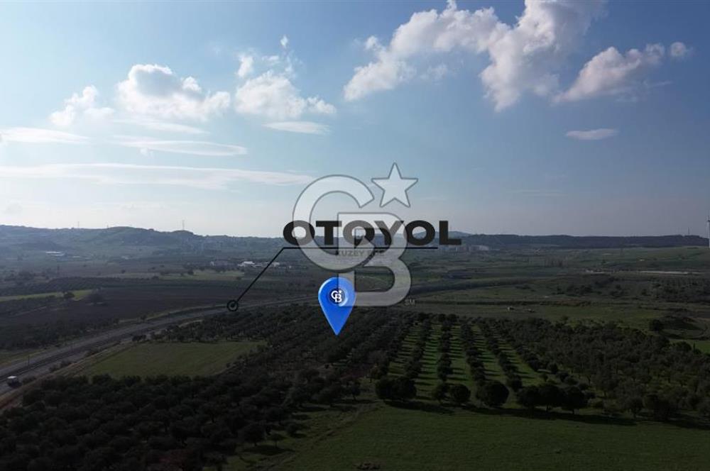 ALİAĞA GÜZELHİSAR ZEYTİNLİ YATIRIMLIK TARLA FIRSATI 12.266 m²