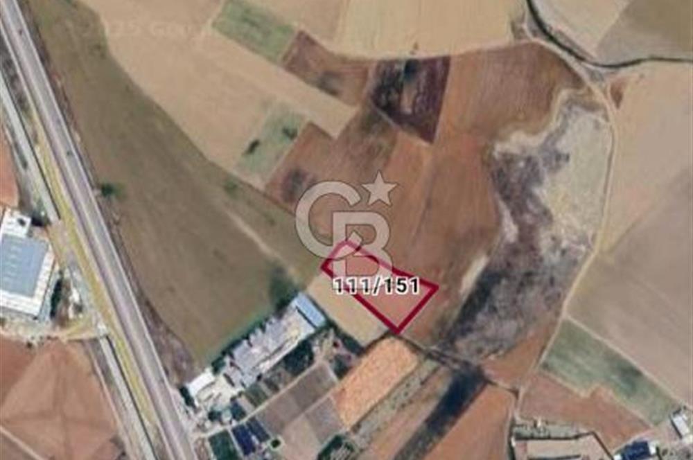 YENİKENT AKÇAÖRENDE SATILIK 3500 M2 HİSSE