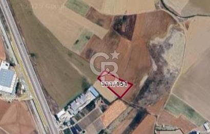 YENİKENT AKÇAÖRENDE SATILIK 3500 M2 HİSSE