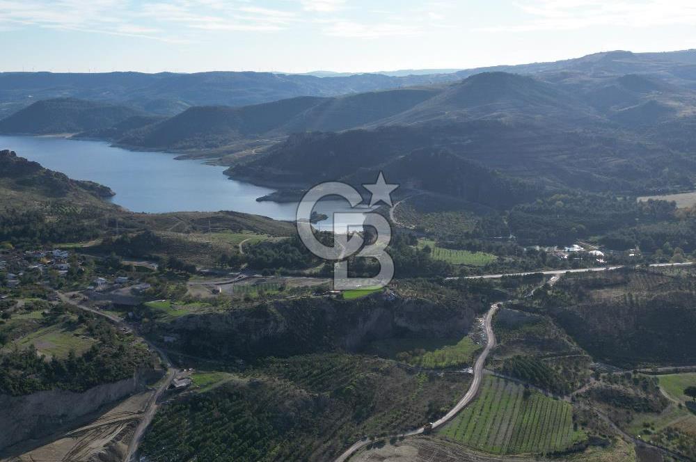 ÇANAKKALE MERKEZ KAYADERE KÖYÜNDE FIRSAT ZEYTİNLİK