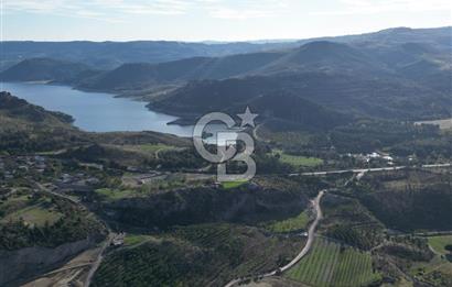 ÇANAKKALE MERKEZ KAYADERE KÖYÜNDE FIRSAT ZEYTİNLİK