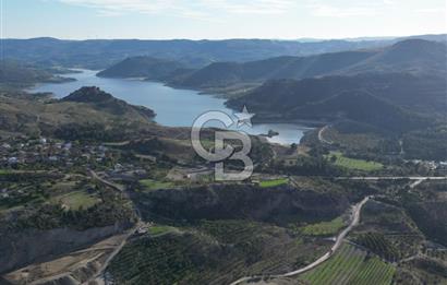 ÇANAKKALE MERKEZ KAYADERE KÖYÜNDE FIRSAT ZEYTİNLİK