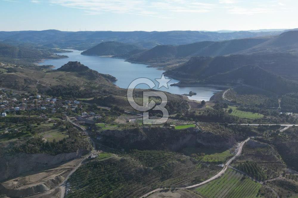 ÇANAKKALE MERKEZ KAYADERE KÖYÜNDE FIRSAT ZEYTİNLİK