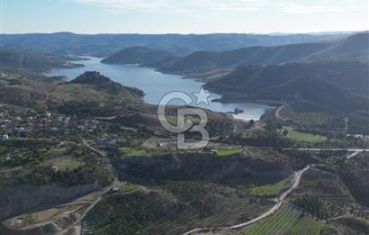 ÇANAKKALE MERKEZ KAYADERE KÖYÜNDE FIRSAT ZEYTİNLİK