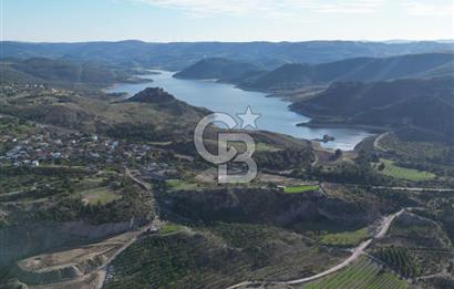 ÇANAKKALE MERKEZ KAYADERE KÖYÜNDE FIRSAT ZEYTİNLİK