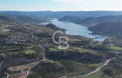 ÇANAKKALE MERKEZ KAYADERE KÖYÜNDE FIRSAT ZEYTİNLİK