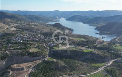 ÇANAKKALE MERKEZ KAYADERE KÖYÜNDE FIRSAT ZEYTİNLİK