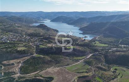 ÇANAKKALE MERKEZ KAYADERE KÖYÜNDE FIRSAT ZEYTİNLİK