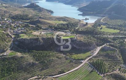 ÇANAKKALE MERKEZ KAYADERE KÖYÜNDE FIRSAT ZEYTİNLİK