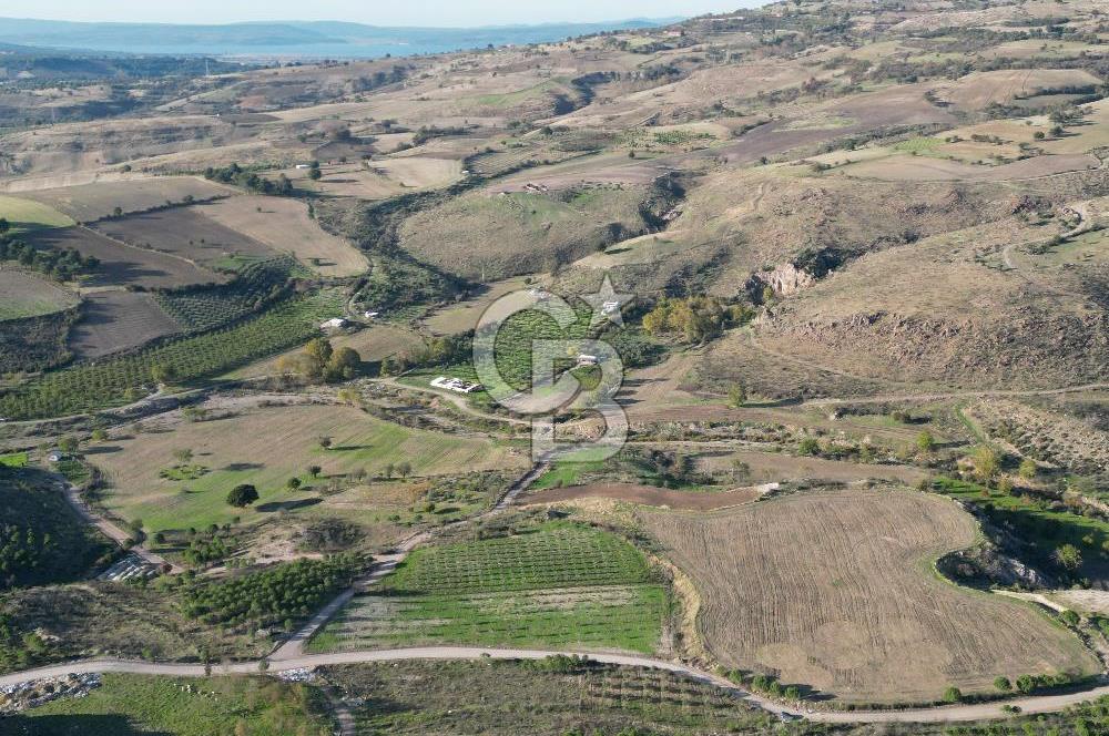 ÇANAKKALE MERKEZ KAYADERE KÖYÜNDE FIRSAT ZEYTİNLİK