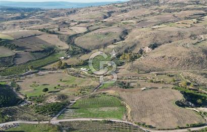 ÇANAKKALE MERKEZ KAYADERE KÖYÜNDE FIRSAT ZEYTİNLİK