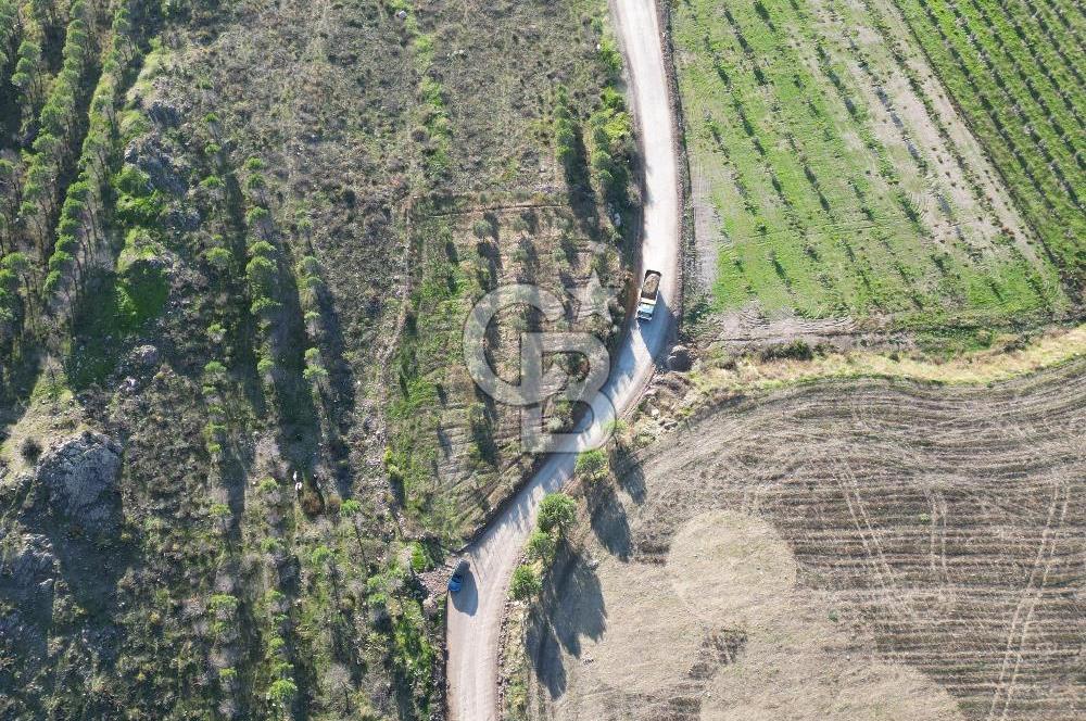 ÇANAKKALE MERKEZ KAYADERE KÖYÜNDE FIRSAT ZEYTİNLİK