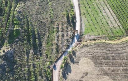 ÇANAKKALE MERKEZ KAYADERE KÖYÜNDE FIRSAT ZEYTİNLİK