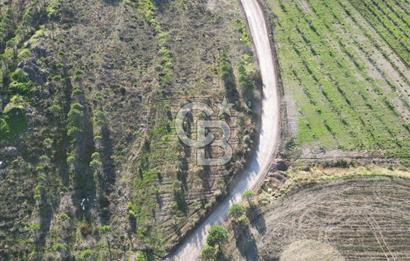 ÇANAKKALE MERKEZ KAYADERE KÖYÜNDE FIRSAT ZEYTİNLİK