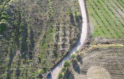 ÇANAKKALE MERKEZ KAYADERE KÖYÜNDE FIRSAT ZEYTİNLİK