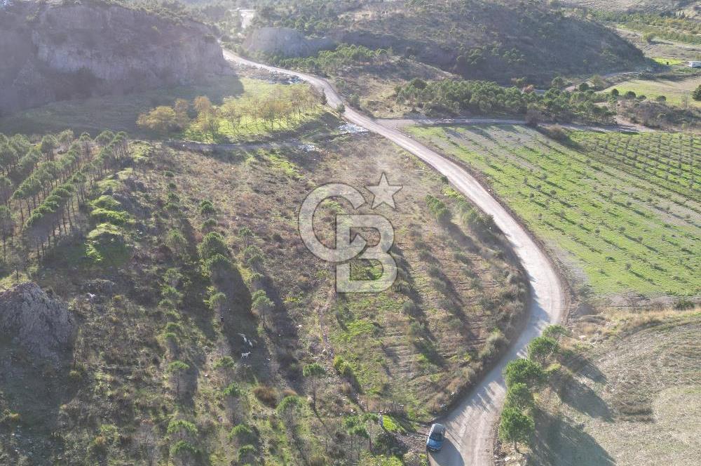 ÇANAKKALE MERKEZ KAYADERE KÖYÜNDE FIRSAT ZEYTİNLİK