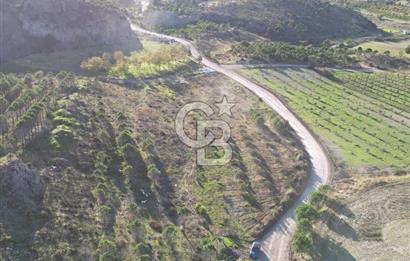 ÇANAKKALE MERKEZ KAYADERE KÖYÜNDE FIRSAT ZEYTİNLİK