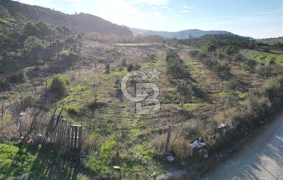 ÇANAKKALE MERKEZ KAYADERE KÖYÜNDE FIRSAT ZEYTİNLİK