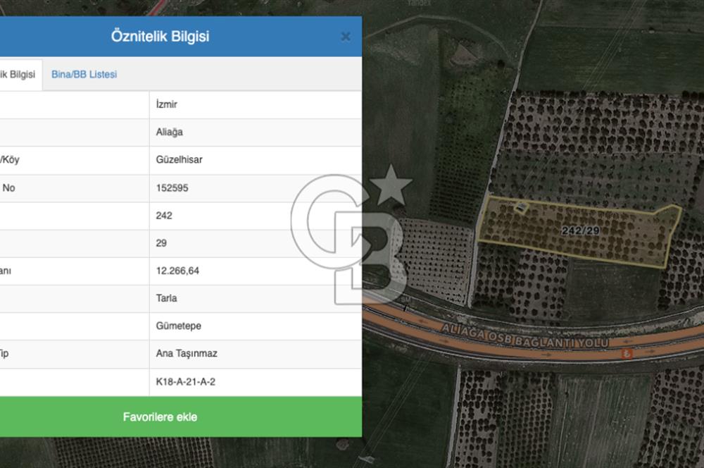 ALİAĞA GÜZELHİSAR ZEYTİNLİ YATIRIMLIK TARLA FIRSATI 12.266 m²