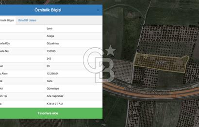 ALİAĞA GÜZELHİSAR ZEYTİNLİ YATIRIMLIK TARLA FIRSATI 12.266 m²