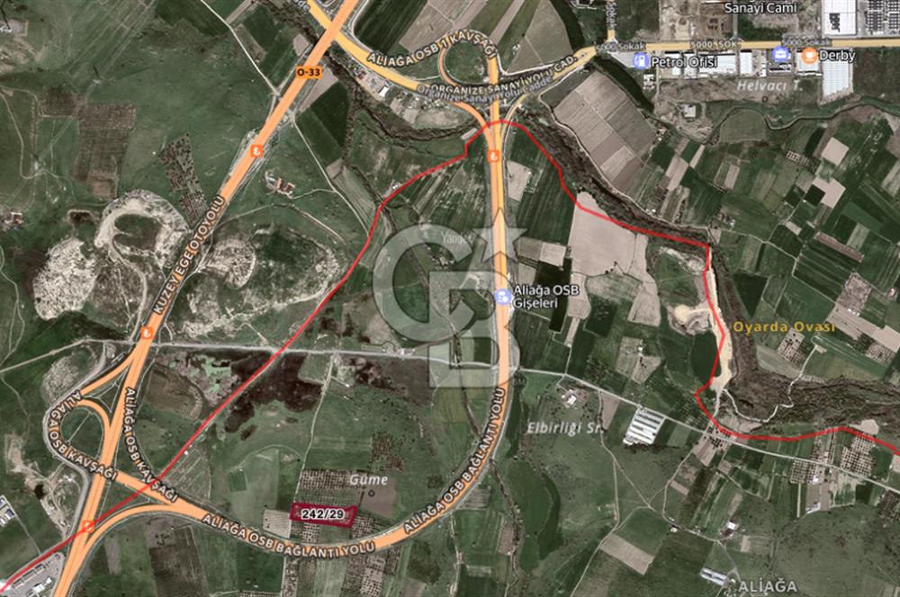 ALİAĞA GÜZELHİSAR ZEYTİNLİ YATIRIMLIK TARLA FIRSATI 12.266 m²