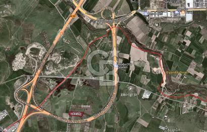 ALİAĞA GÜZELHİSAR ZEYTİNLİ YATIRIMLIK TARLA FIRSATI 12.266 m²