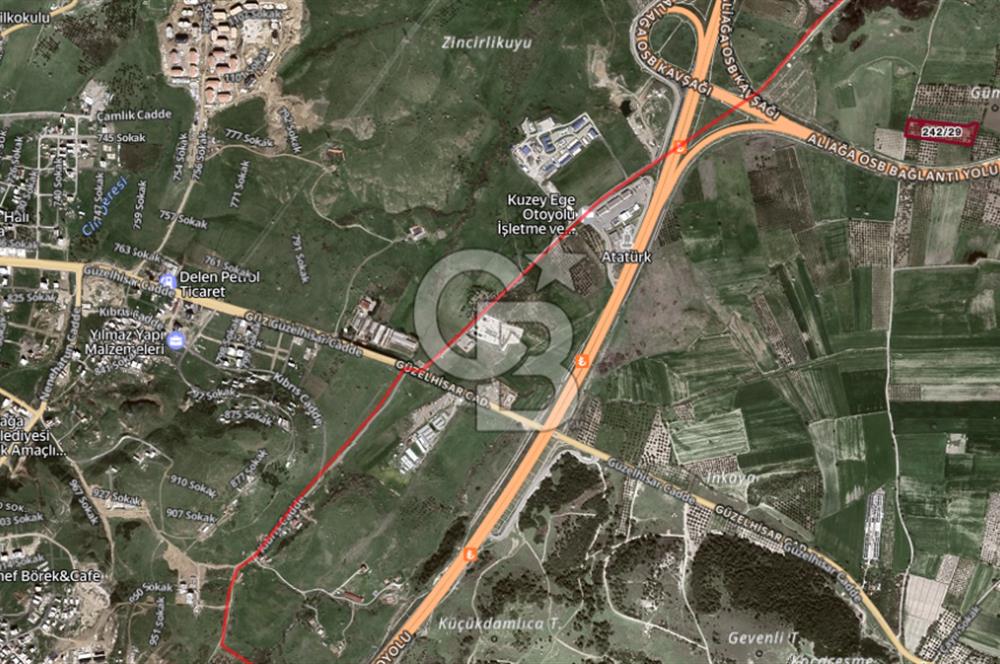 ALİAĞA GÜZELHİSAR ZEYTİNLİ YATIRIMLIK TARLA FIRSATI 12.266 m²