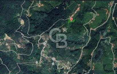 COLDWELL BANKER VONA MUSTAFA ŞEN'DEN FIRSAT TARLA 