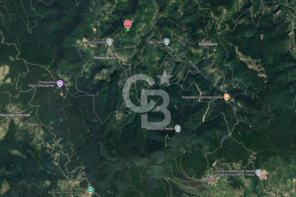 COLDWELL BANKER VONA MUSTAFA ŞEN'DEN FIRSAT TARLA 