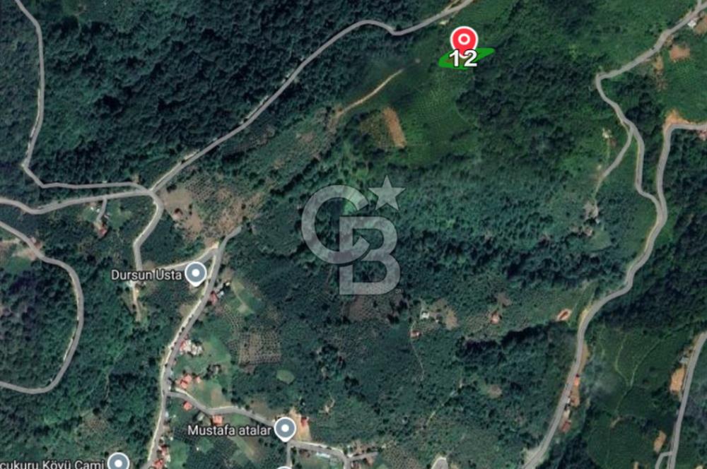 COLDWELL BANKER VONA MUSTAFA ŞEN'DEN FIRSAT TARLA 