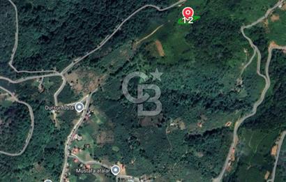 COLDWELL BANKER VONA MUSTAFA ŞEN'DEN FIRSAT TARLA 