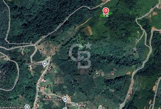 COLDWELL BANKER VONA MUSTAFA ŞEN'DEN FIRSAT TARLA  - 6 - 313846