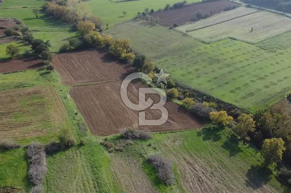 ÇANAKKALE BAYRAMİÇ YAHŞİELİ KÖYÜ 2875 M2 TARLA