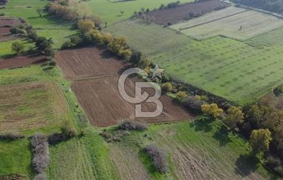 ÇANAKKALE BAYRAMİÇ YAHŞİELİ KÖYÜ 2875 M2 TARLA